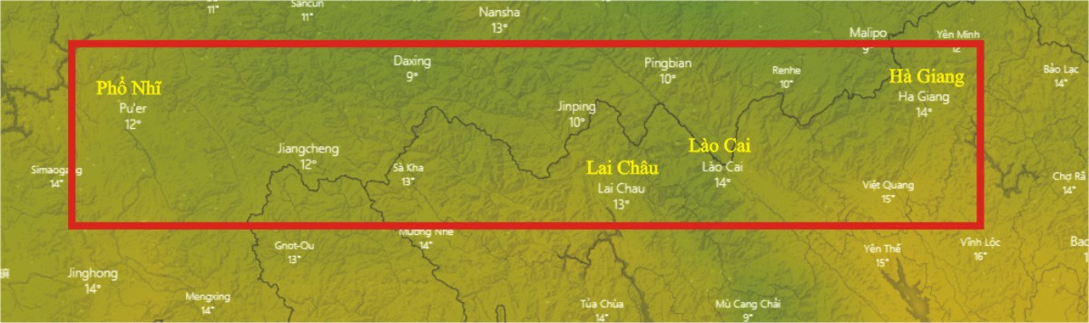 Trà Phổ Nhĩ Việt